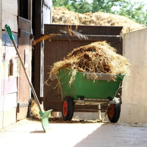 Brouette basculante 330 litres LA BUVETTE